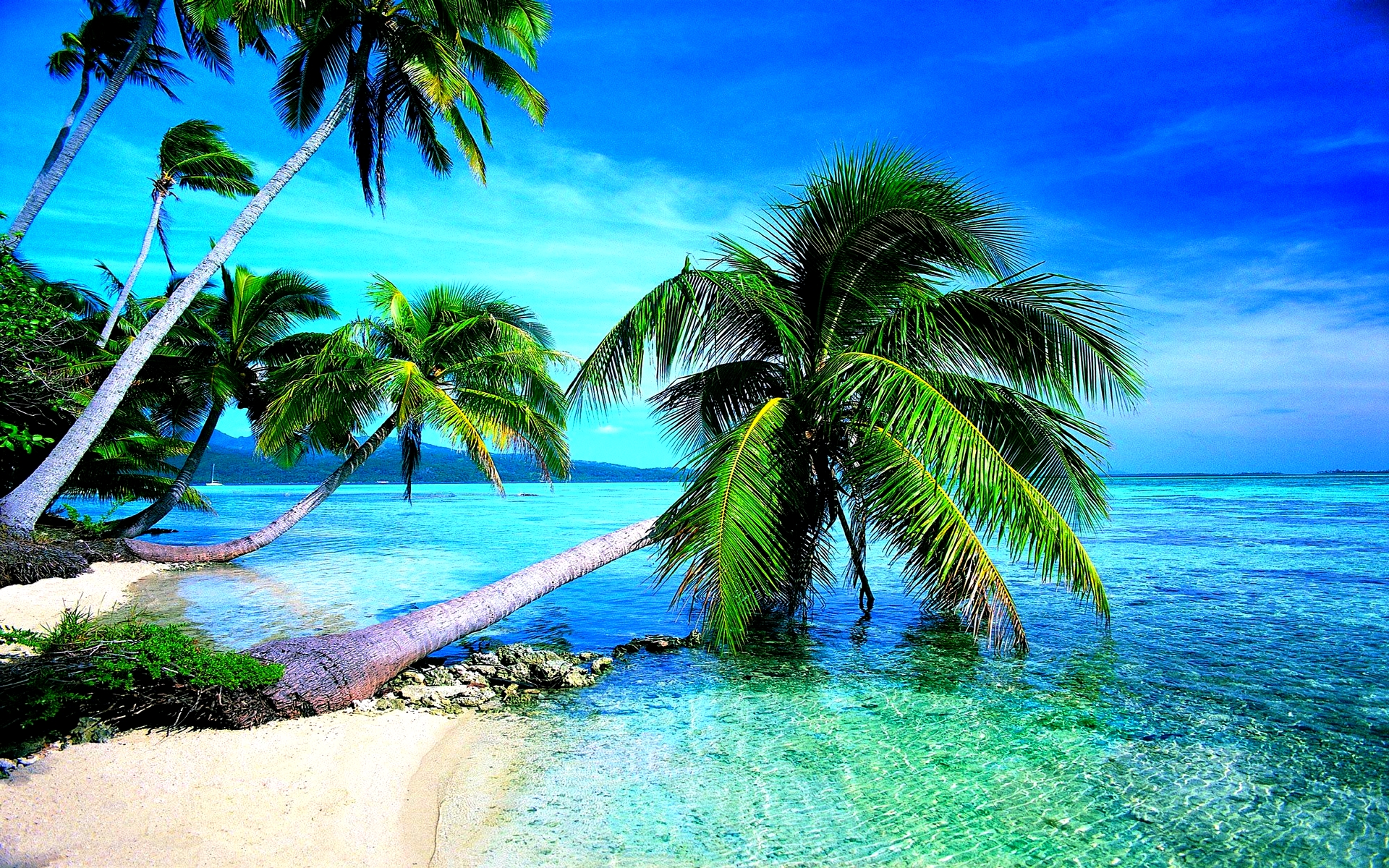download_tropical_beach_wallpaper_hd_desktop_by_emeraldmaree-d8p57ti
