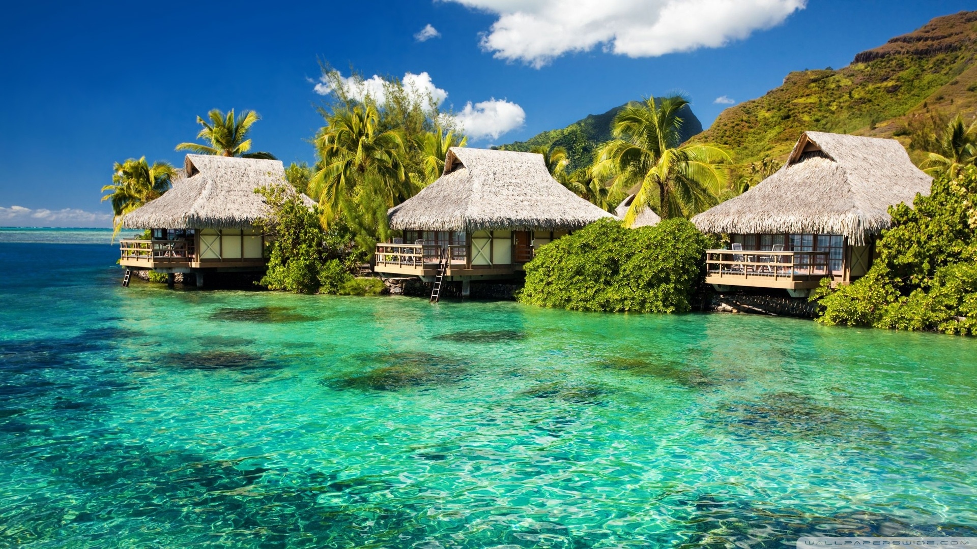 water_bungalows_on_a_tropical_island-wallpaper-1920x1080